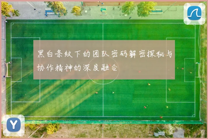 黑白条纹下的团队密码解密探秘与协作精神的深度融合