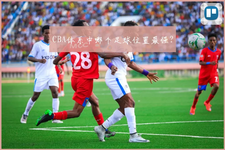 CBA体系中哪个足球位置最强？