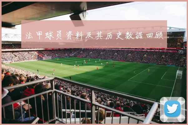 法甲球员资料及其历史数据回顾