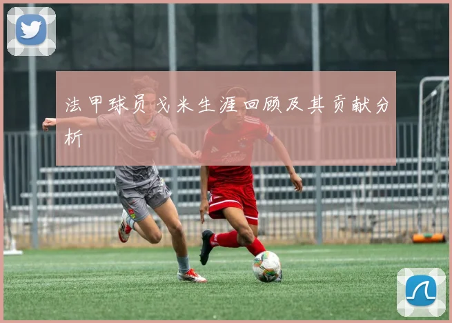 法甲球员戈米生涯回顾及其贡献分析